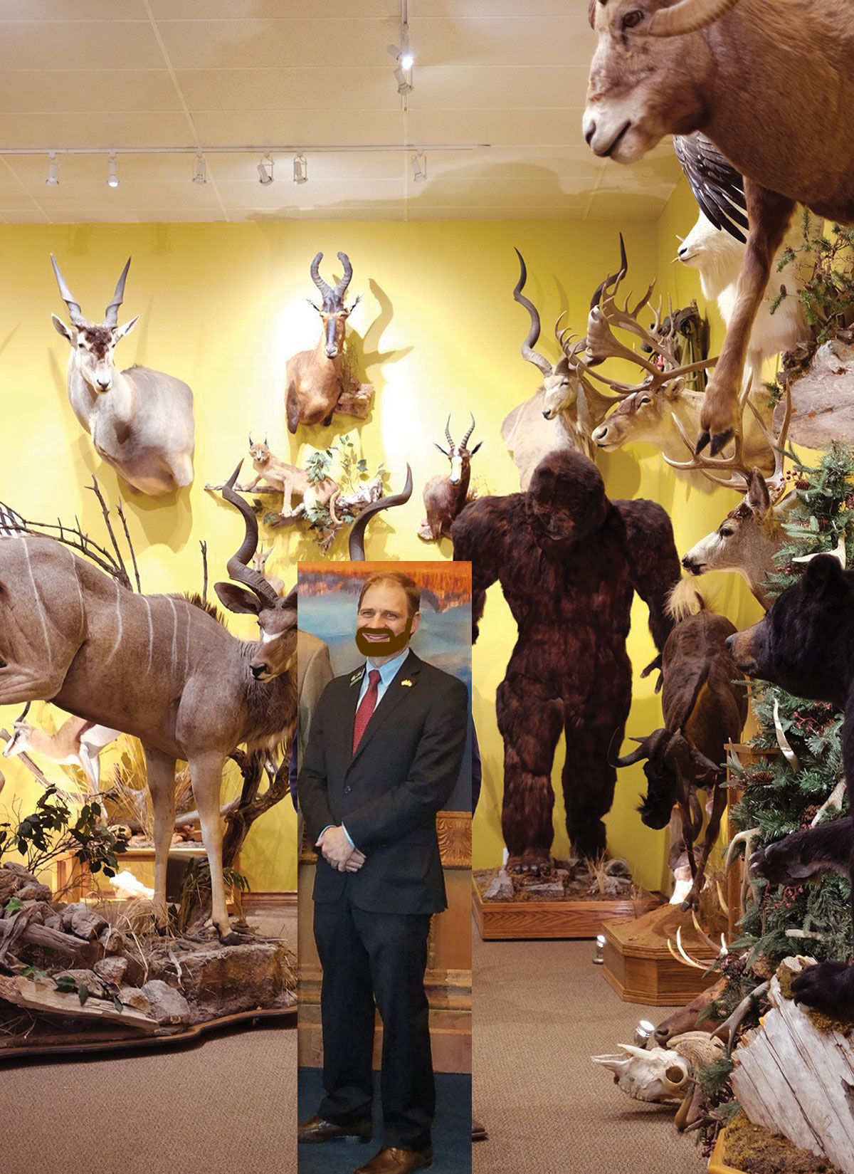 Taxidermy2.jpg